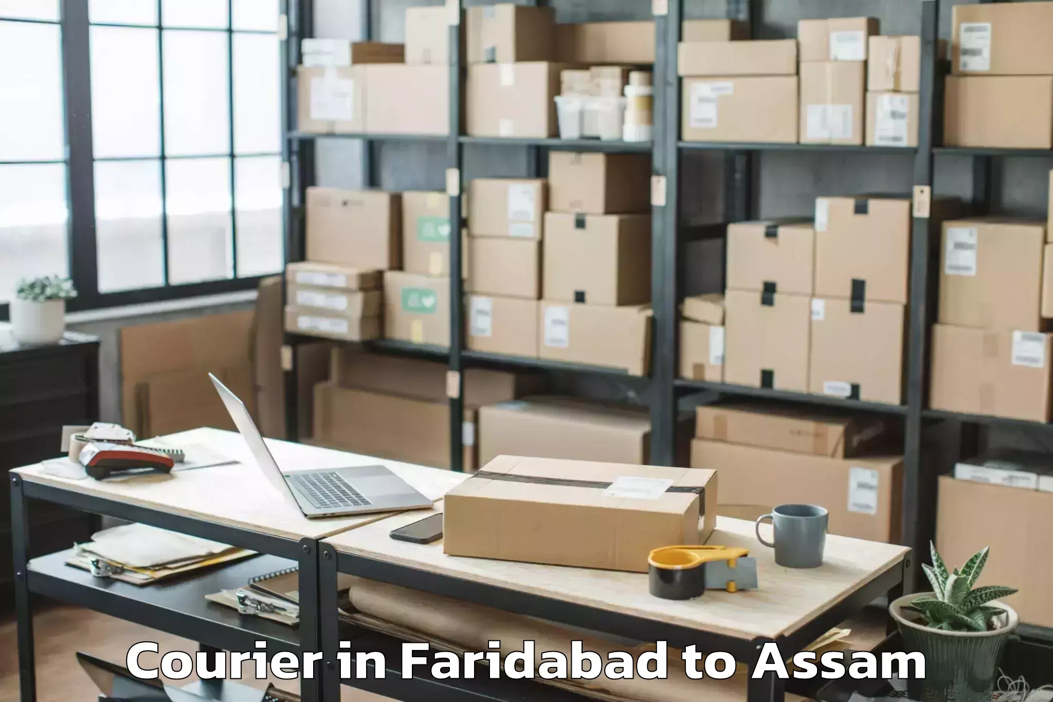 Leading Faridabad to Raha Courier Provider